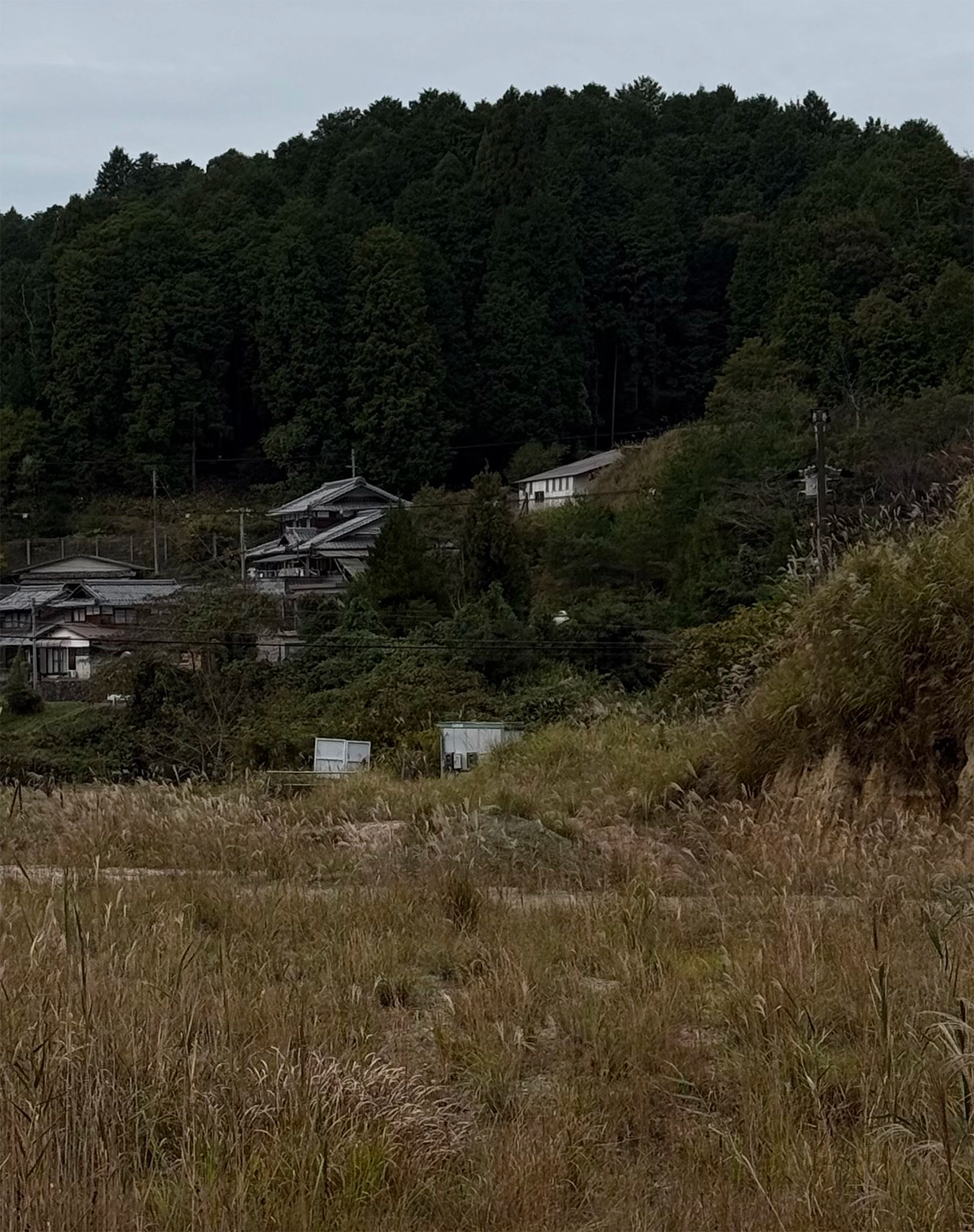 shigaraki09