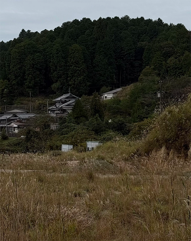 shigaraki09